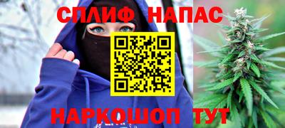 стафф Будённовск
