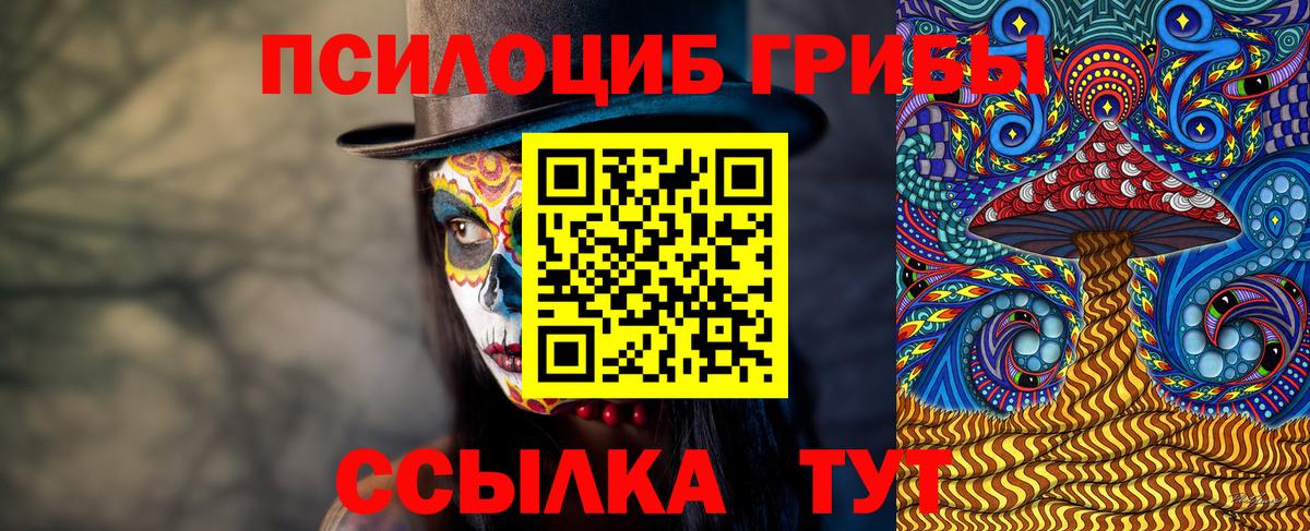 Холмск  Псилоцибиновые грибы GOLDEN TEACHER  Вход с VPN 
